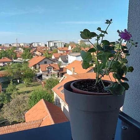 Apartment Svjetlana *