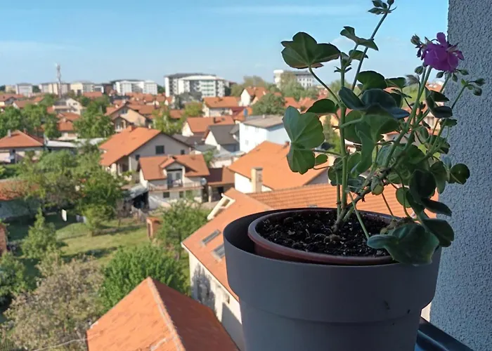 Appartement Svjetlana *